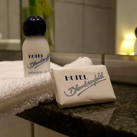 Hotel Blankenfeld Wetzlar
