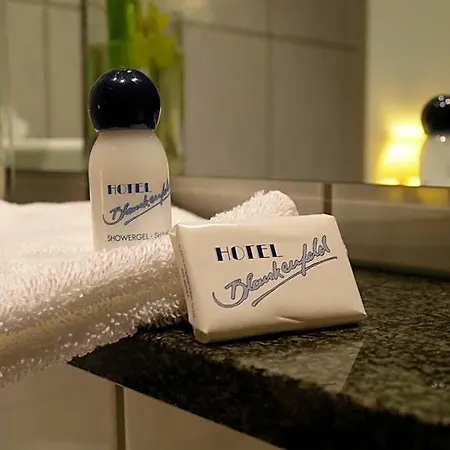 Blankenfeld Hotel 3*
