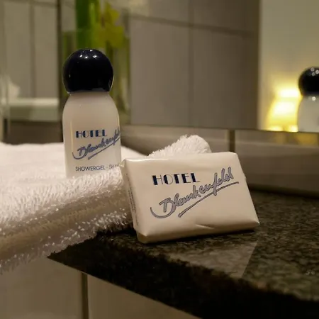 Blankenfeld Hotel Wetzlar